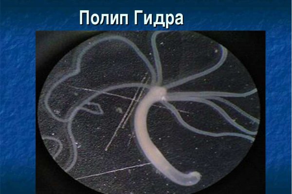 Магазин даркнета