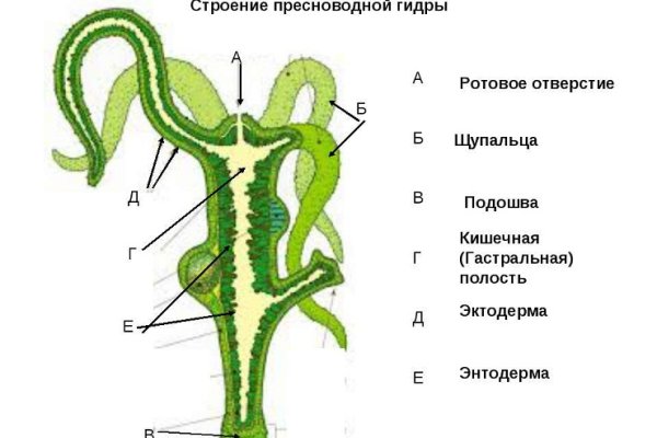 Кракен правильная