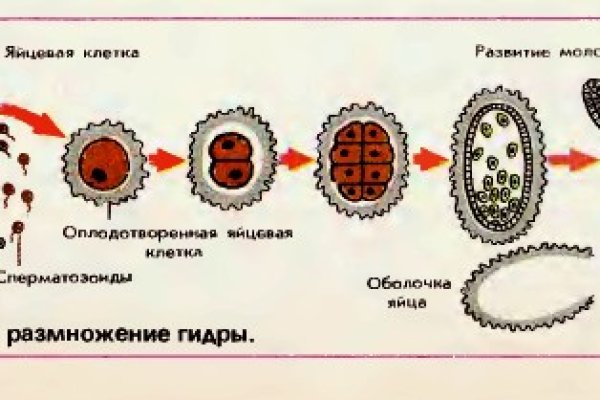 Кракен krakens13 at