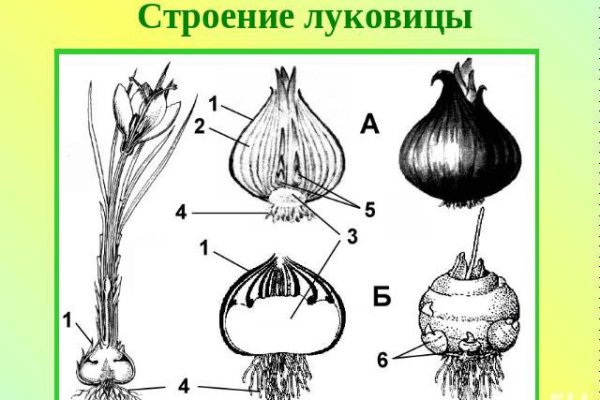 Как зайти в кракен через айфон