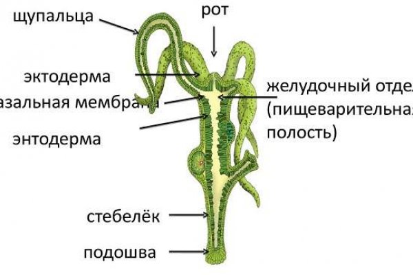 Кракен вход официальный сайт