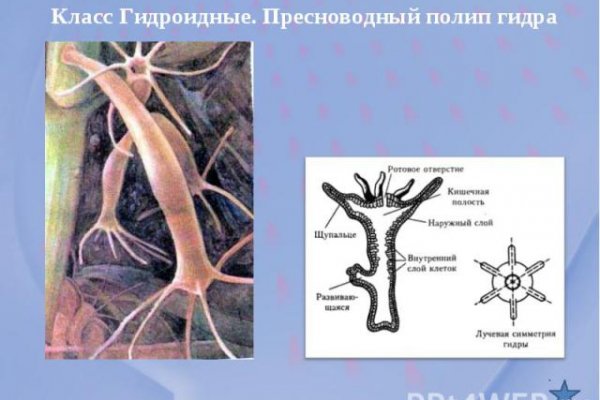 Кракен маркет даркнет слушать