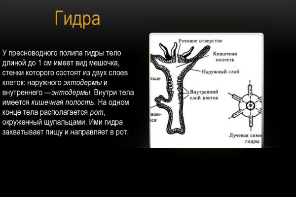 Ссылка на кракен на сегодня